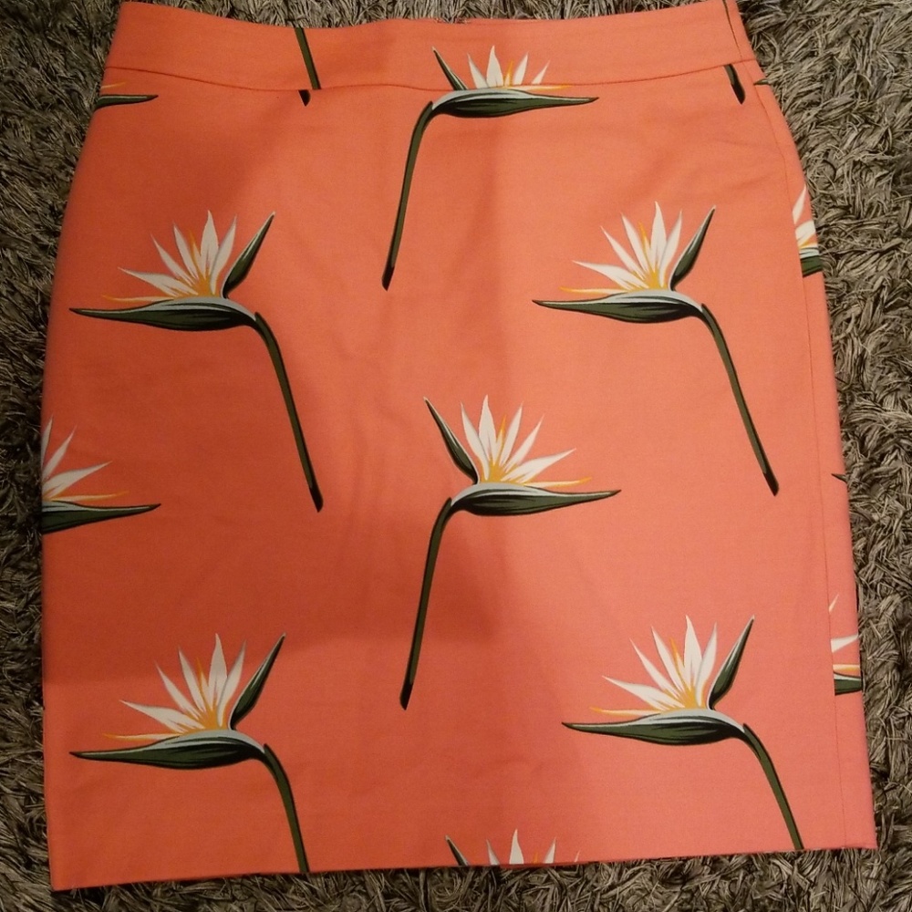 Ann Taylor skirt